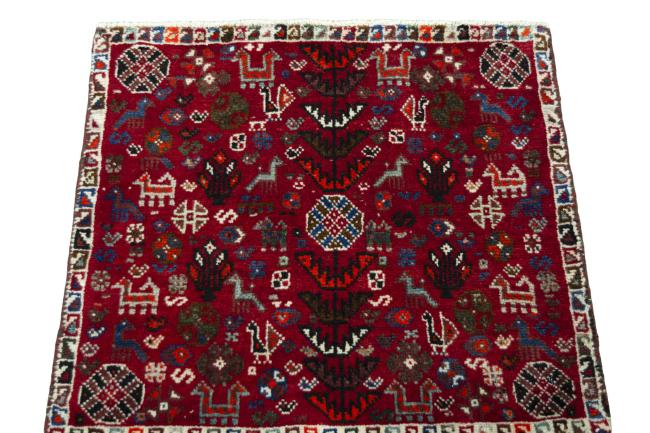 Shiraz - 3