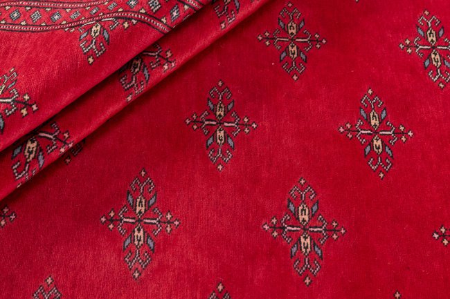Pakistan Buchara 2ply - 2