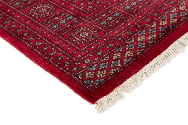 Pakistan Buchara 2ply - 3