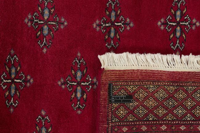 Pakistan Buchara 3ply - 1