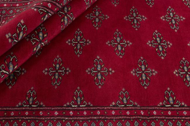 Pakistan Buchara 3ply - 2