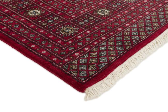 Pakistan Buchara 3ply - 3