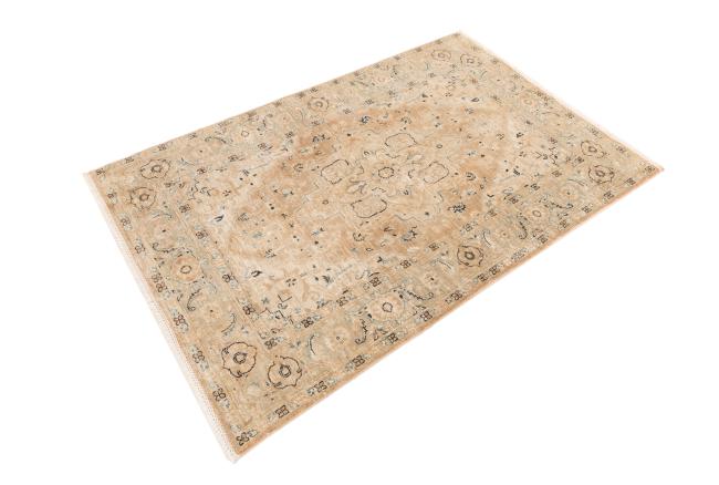 Ziegler Farahan - 1