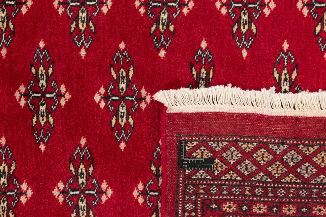 Pakistan Buchara 2ply - 1