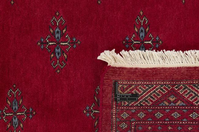 Pakistan Buchara 3ply - 1