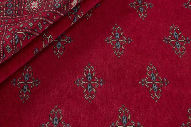 Pakistan Buchara 3ply - 2