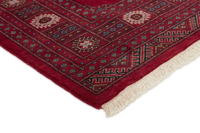 Pakistan Buchara 3ply - 3