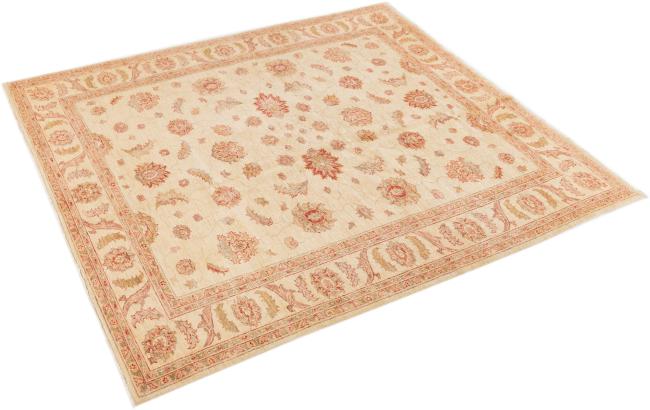 Ziegler Farahan - 2