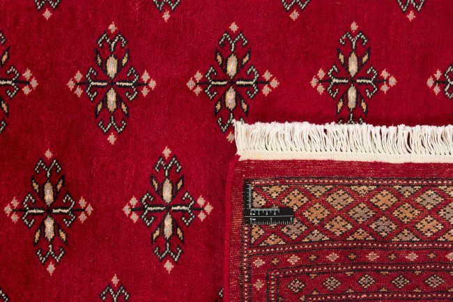 Pakistan Buchara 2ply - 1