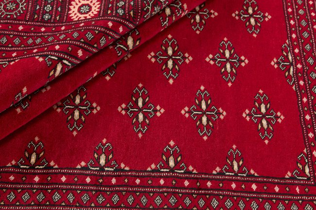 Pakistan Buchara 2ply - 2