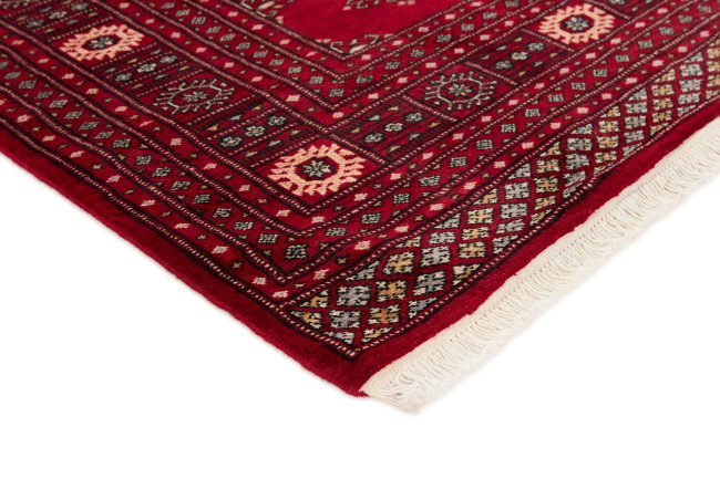 Pakistan Buchara 2ply - 3