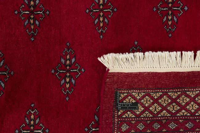 Pakistan Buchara 3ply - 1