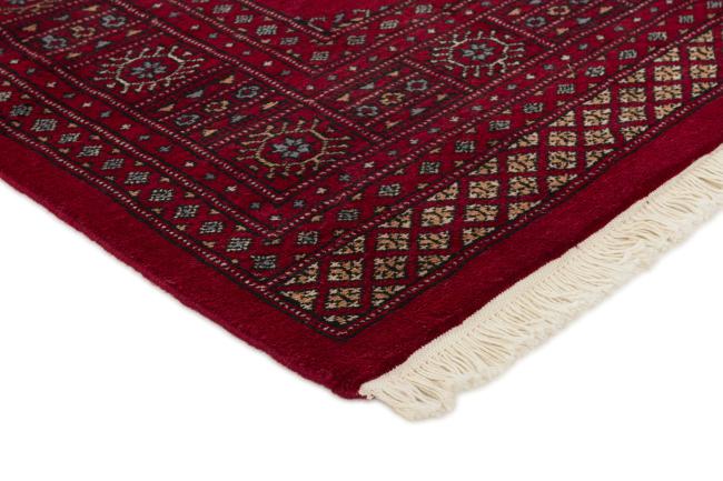 Pakistan Buchara 3ply - 3