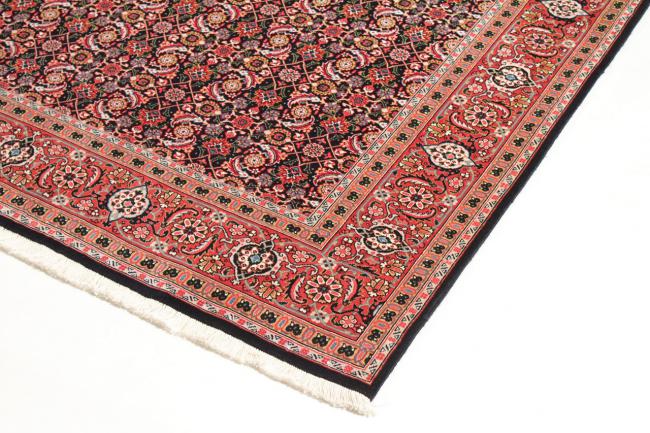 Tabriz 50Raj Mahi - 2