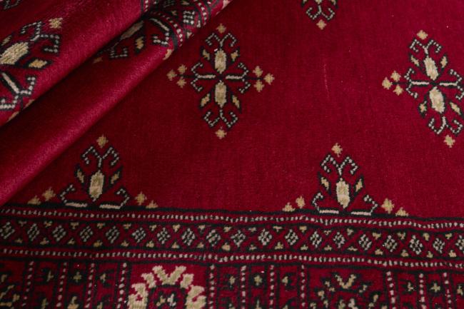 Pakistan Buchara 2ply - 2