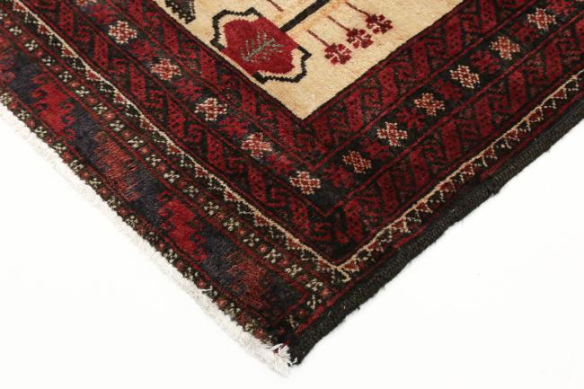 Shiraz - 3