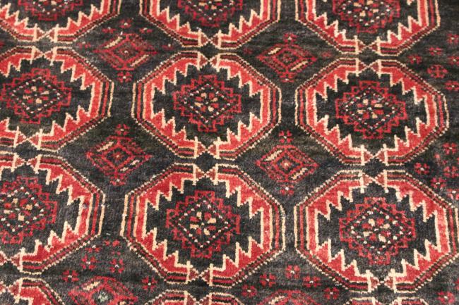 Shiraz - 6