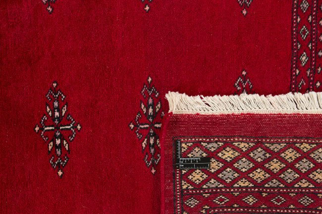 Pakistan Buchara 2ply - 1