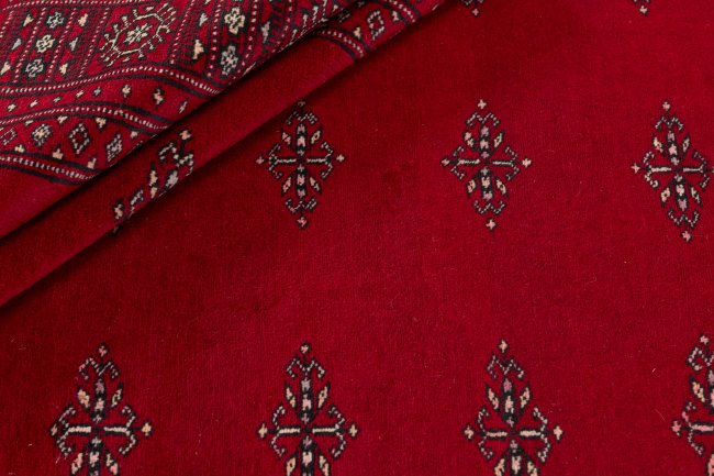 Pakistan Buchara 2ply - 2
