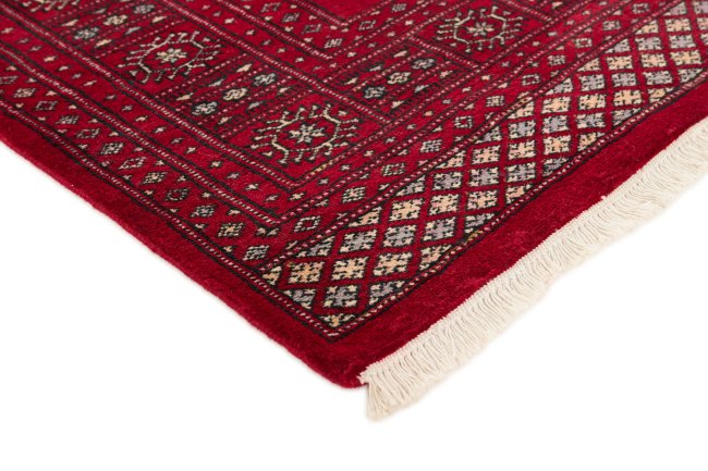 Pakistan Buchara 2ply - 3