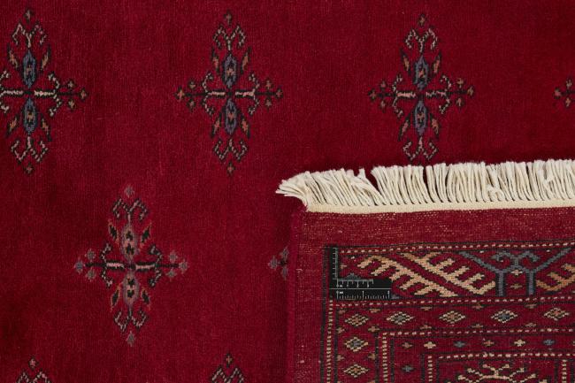 Pakistan Buchara 3ply - 1