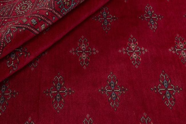 Pakistan Buchara 3ply - 2