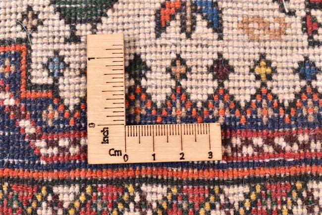 Μπαφτιάρ Nasrabad - 8