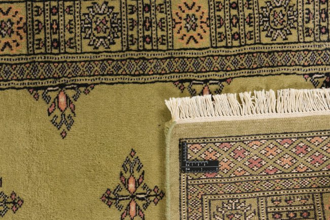 Pakistan Buchara 2ply - 1