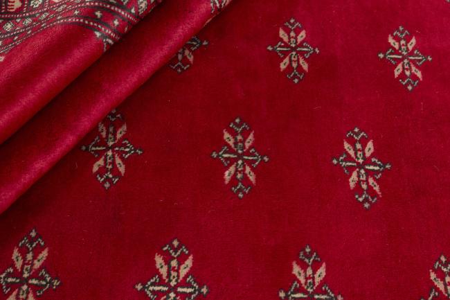 Pakistan Buchara 3ply - 2