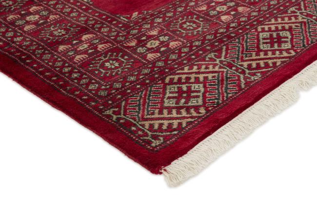 Pakistan Buchara 3ply - 3