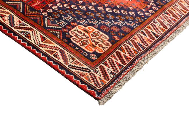 Shiraz - 6