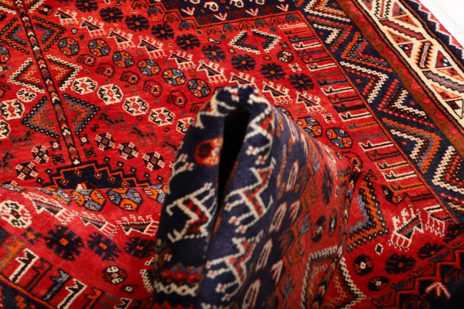 Shiraz - 10