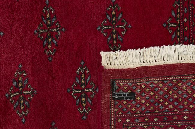 Pakistan Buchara 3ply - 1