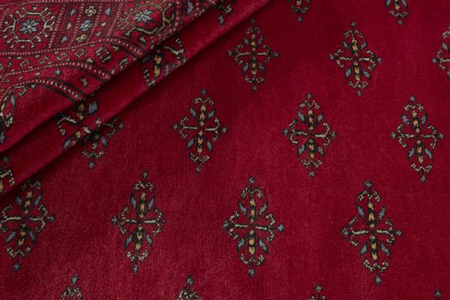 Pakistan Buchara 3ply - 2