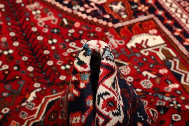 Shiraz - 10