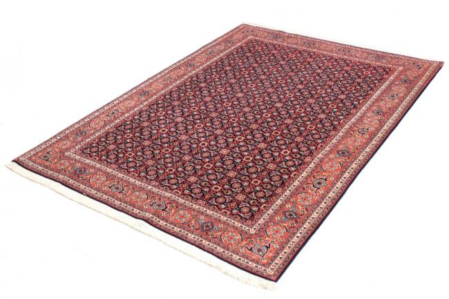 Tabriz 50Raj Mahi - 2