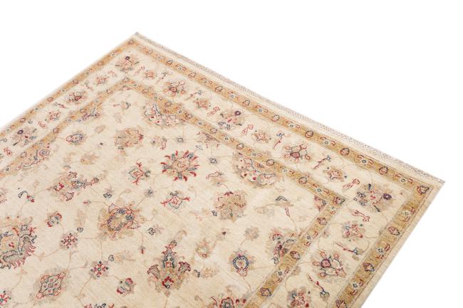 Ziegler Farahan - 3