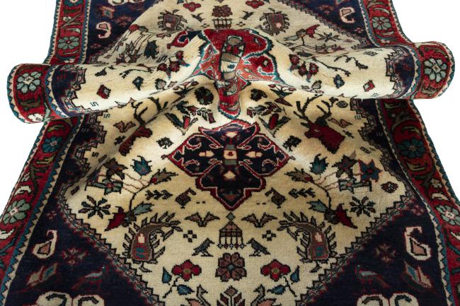 Shiraz - 8