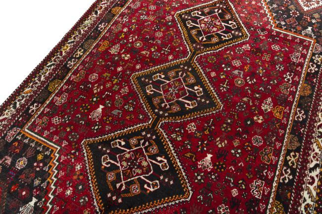 Shiraz - 4