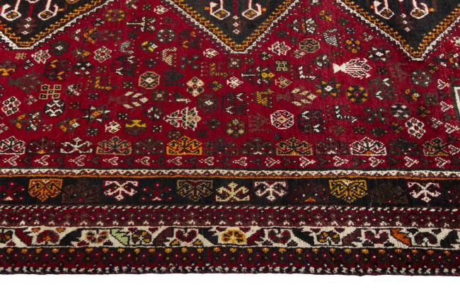 Shiraz - 6