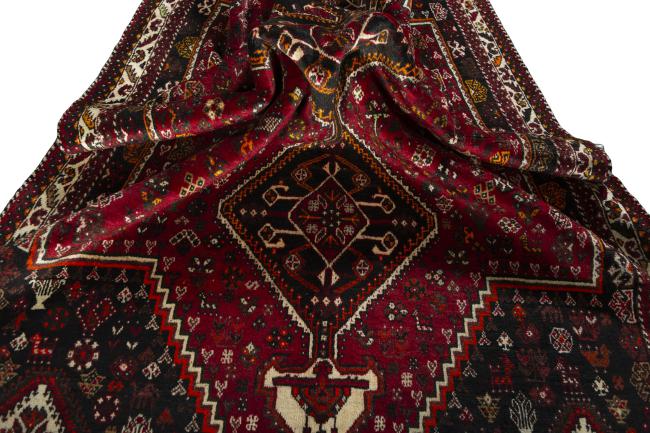 Shiraz - 8