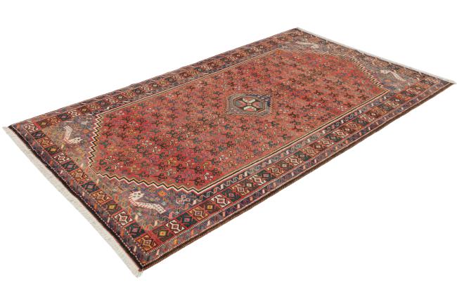 Shiraz - 1