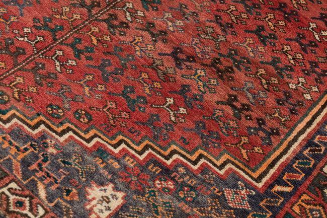 Shiraz - 4