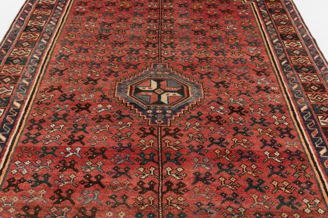 Shiraz - 8