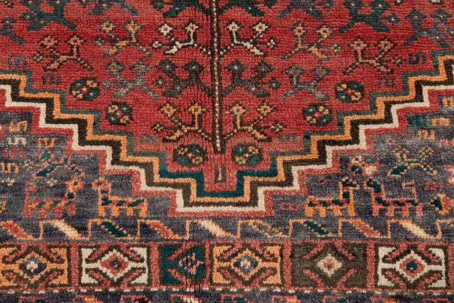 Shiraz - 10