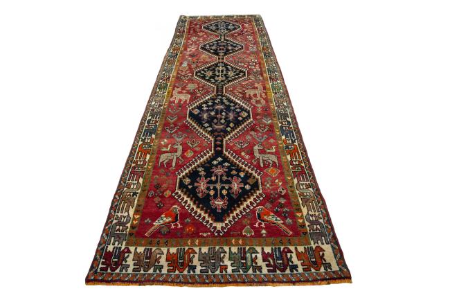 Shiraz - 4