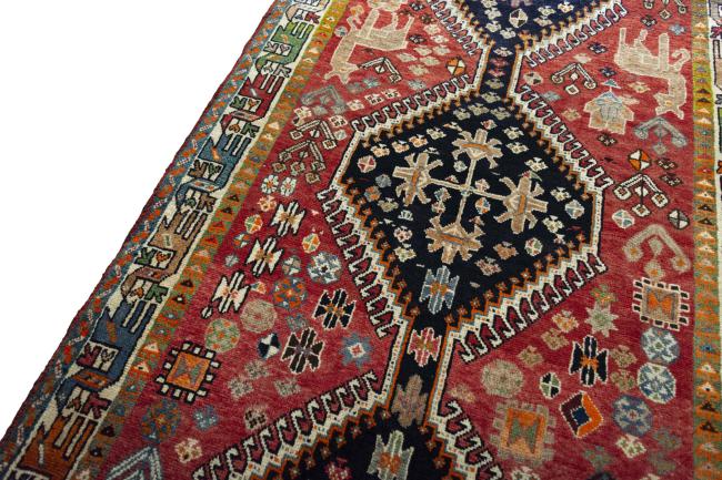 Shiraz - 5
