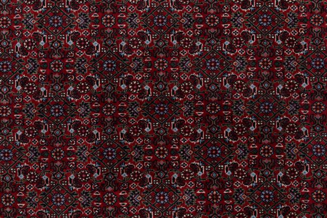 Bidjar - 5