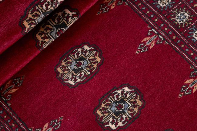 Pakistan Buchara 2ply - 2