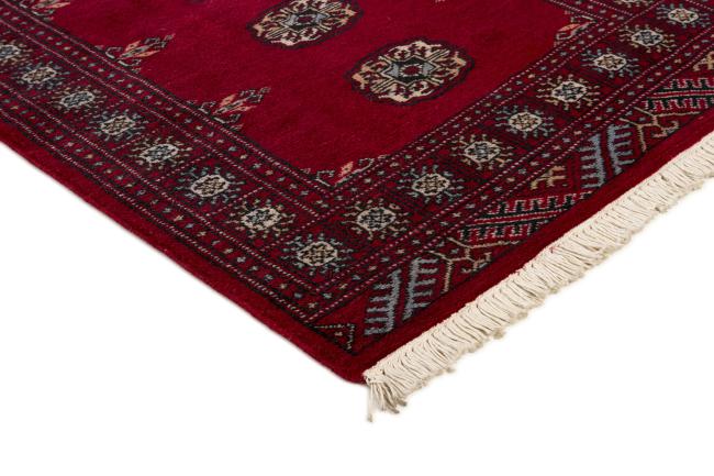 Pakistan Buchara 2ply - 3